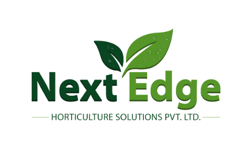 Nextedge service page logo